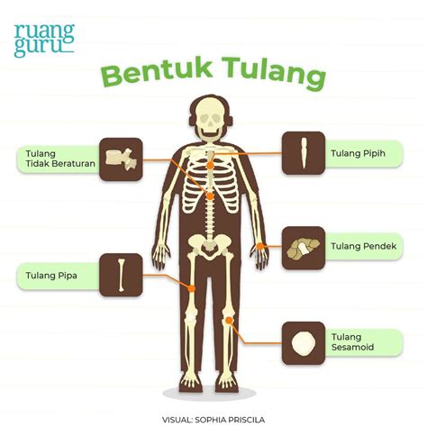 tulang