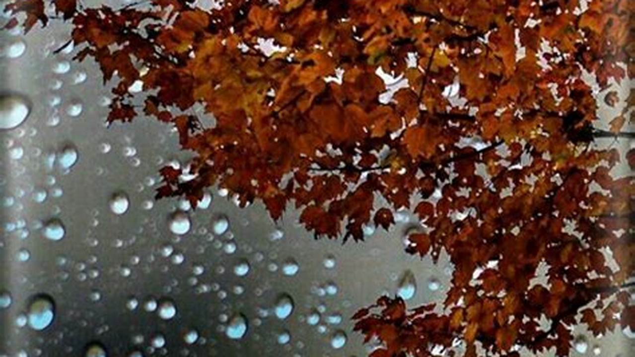 +37 Best Free Hd Rain Wallpaper Iphone Background To Download Pc, Mob., Images