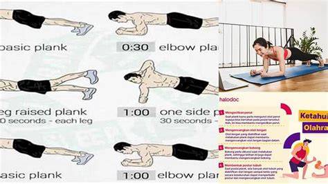 Plank Samping