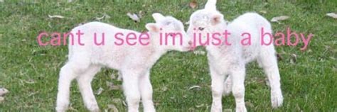 @boyeattter Exclusive Leaked Photos & Videos #bac