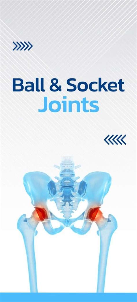 [37+] Ball And Socket Joint Notes