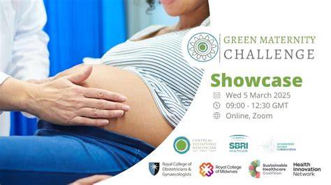 [Case Study] Transforming Maternity Support Through Collaborative Models