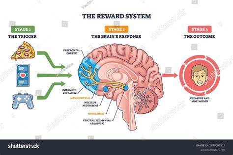 [How-To] How To Execute A 'Digital Fast' That Safely Downregulates Hyper-Stimulated Reward Pathways