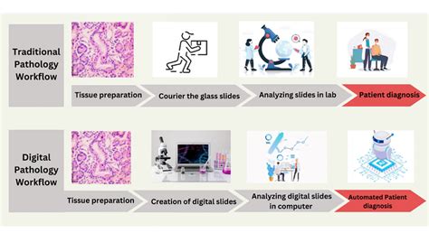 [Strategic Guide] Transitioning From Traditional Film-Based Analysis To Ai-Native Digital Pathology