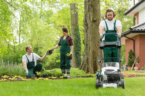 Functioning of Lawn Care Services