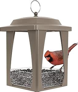 A fly-through bird feeder attracting more birds