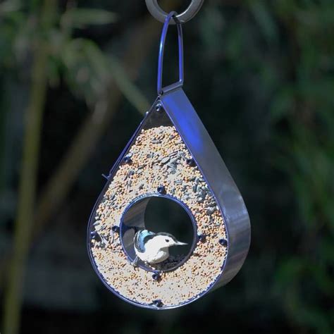 A fly-through bird feeder encourages visit regularity