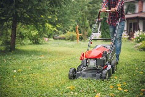leave lawn care to professionals