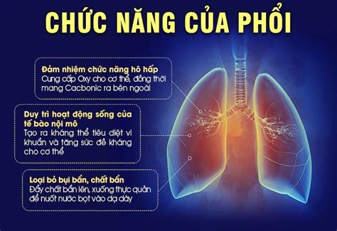 đơn vị chức năng của phổi