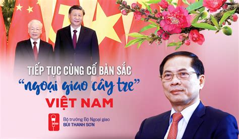 đường lối ngoại giao cây tre của việt nam