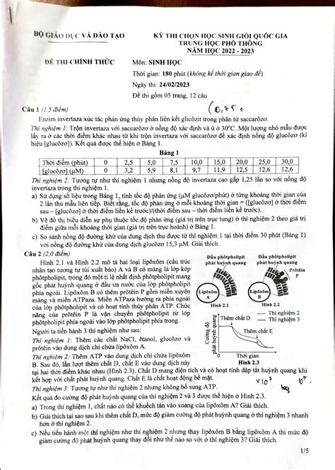 đề thi học sinh giỏi lớp 7 môn tiếng anh