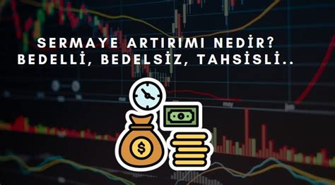 İnfo yat bedellİ bedelsİz sermaye artti