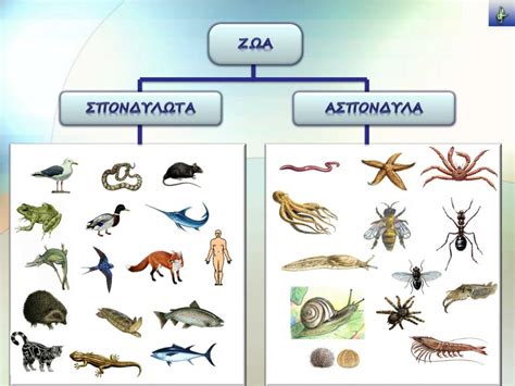 ποια ειναι τα θαλασσινα