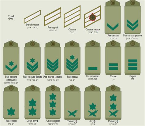 звания в армии израиля на русском