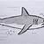 как легко нарисовать акулу карандашом