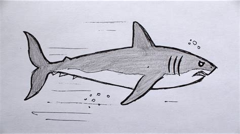 Как нарисовать акулу поэтапно? ♥ Рисунки карандашом поэтапно