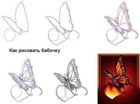 Как поэтапно нарисовать бабочку
