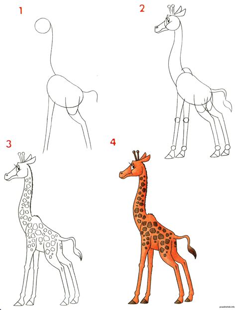 Как нарисовать жирафа поэтапно 9 уроков