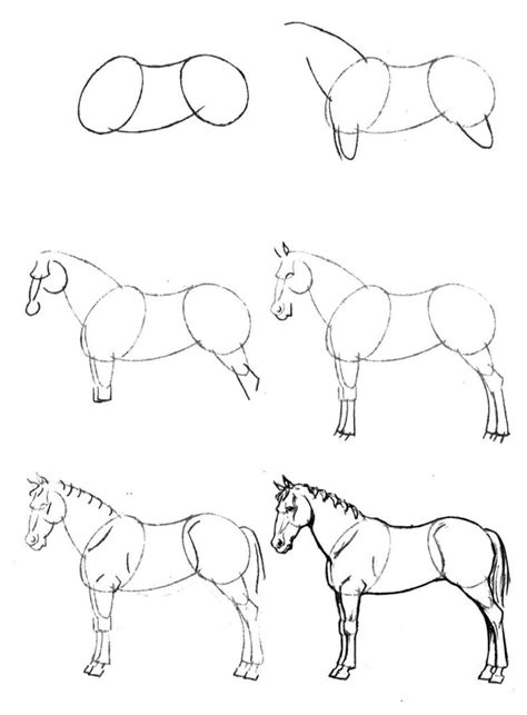 Как нарисовать лошадь карандашом поэтапно для начинающих легко