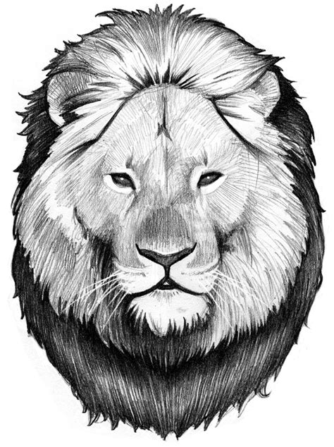 Как нарисовать морду льва карандашом поэтапно