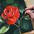 как нарисовать розу акриловыми красками