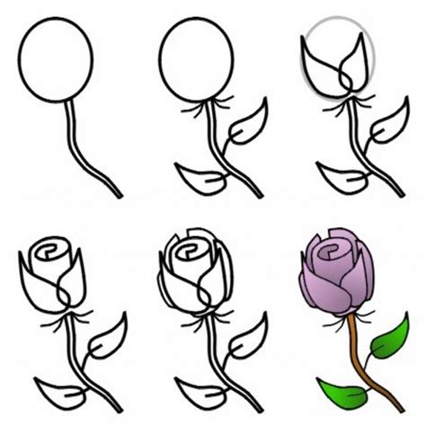 Как нарисовать красивую розу поэтапно легко (20 способов