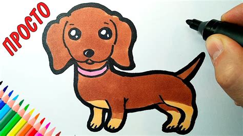 Как нарисовать собаку поэтапно для детей — легко карандашом