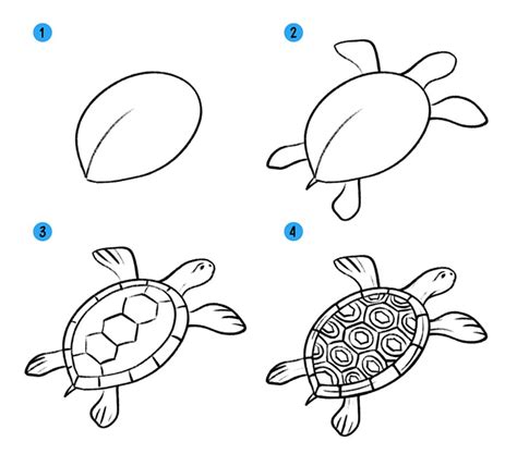 Черепаха рисунки карандашом Как нарисовать черепаху карандашом