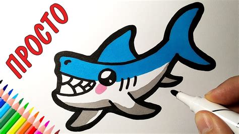 Как нарисовать акулу поэтапно карандашом для детей