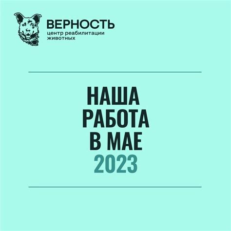 отчет за май 2023