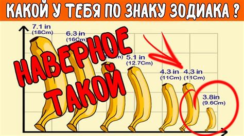 порно маленький член