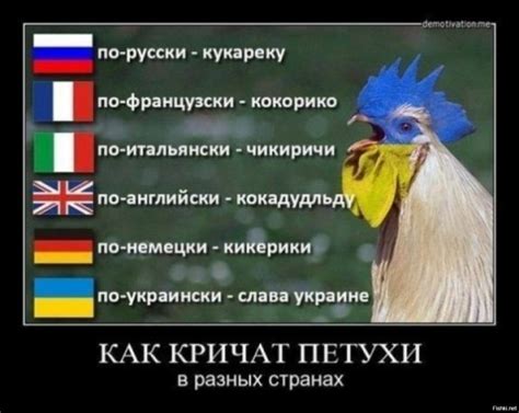 цитаты на украинском языке