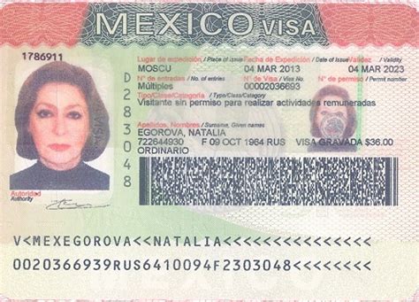 электронная виза в мексику