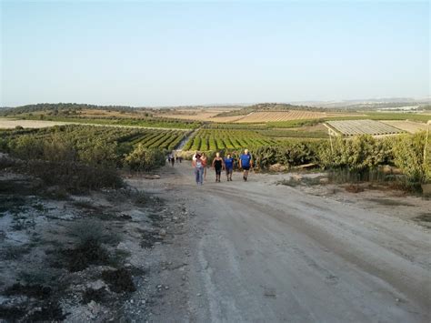 איפה זה גבעת עדה