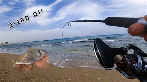 דיג סרגוסים בים התיכון