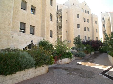דירות להשכרה במושבים סביב ירושלים