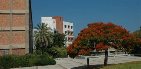 ידיעון אוניברסיטת תל אביב 2023