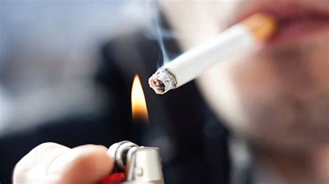 מאמרים אקדמיים על עישון סיגריות