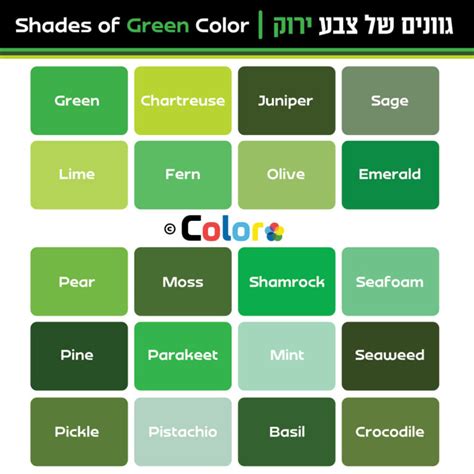 מה מסמל צבע ירוק