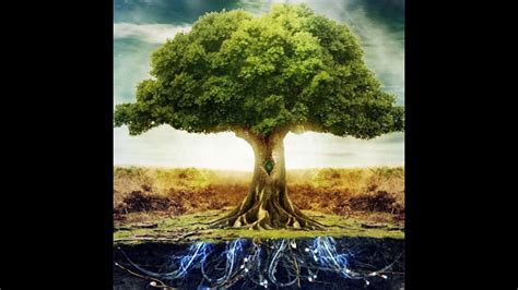 עץ החיים ועץ הדעת