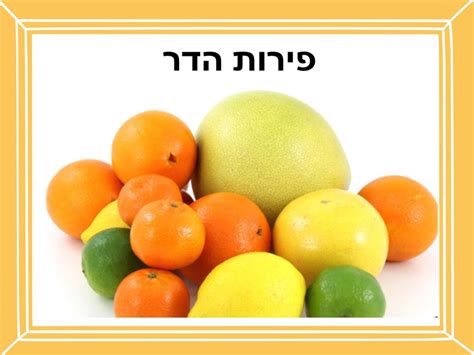 פירות הדר שירים לילדים