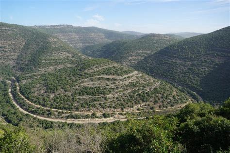 שמורת טבע נחל שורק