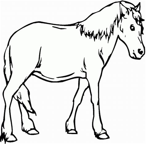 תמונה של סוס להדפסה
