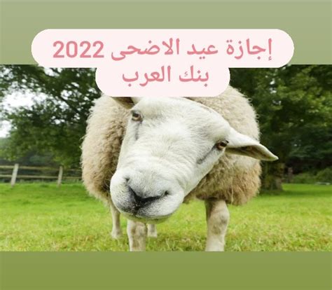 إجازة عيد الأضحى 2023 قطر