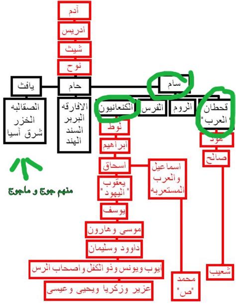 اسماء ابناء سيدنا نوح