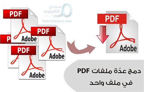 اضافة ملف pdf الى ملف pdf