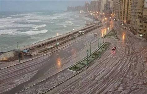 الطقس غدا فى الاسكندرية