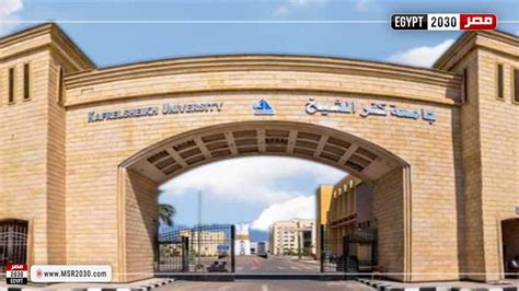 الكشف الطبي جامعة كفر الشيخ