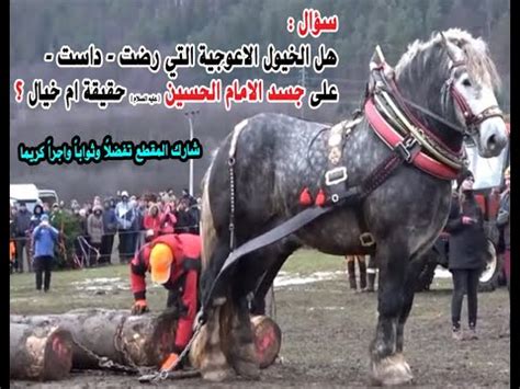 الخيول العربية الأصيلة موضوع