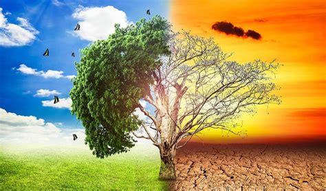 بحث عن التغيرات المناخية وأثرها على البيئة